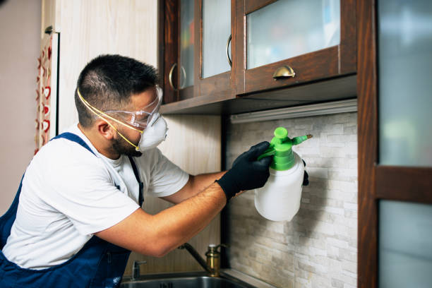 Best Mosquito Control Services  in Mount Sterling, IL