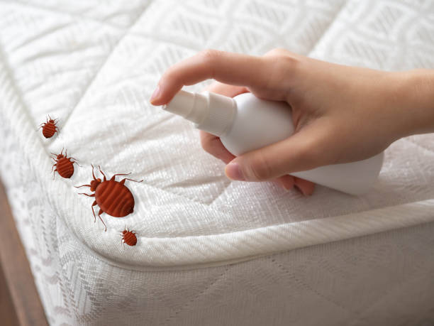 Professional Pest Control in Mount Sterling, IL