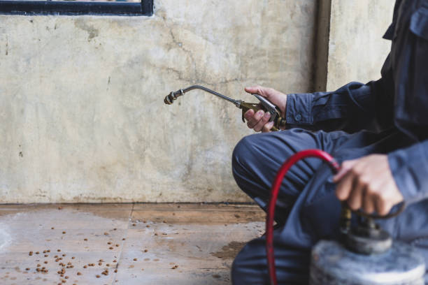 Best Pest Removal Services  in Mount Sterling, IL